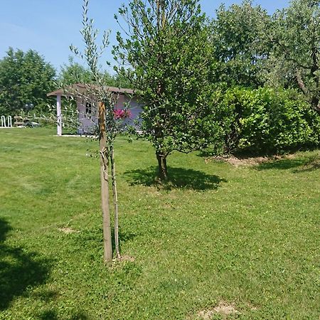 Il Carpino Bianco Bilocale Apartment Puegnago Ruang foto