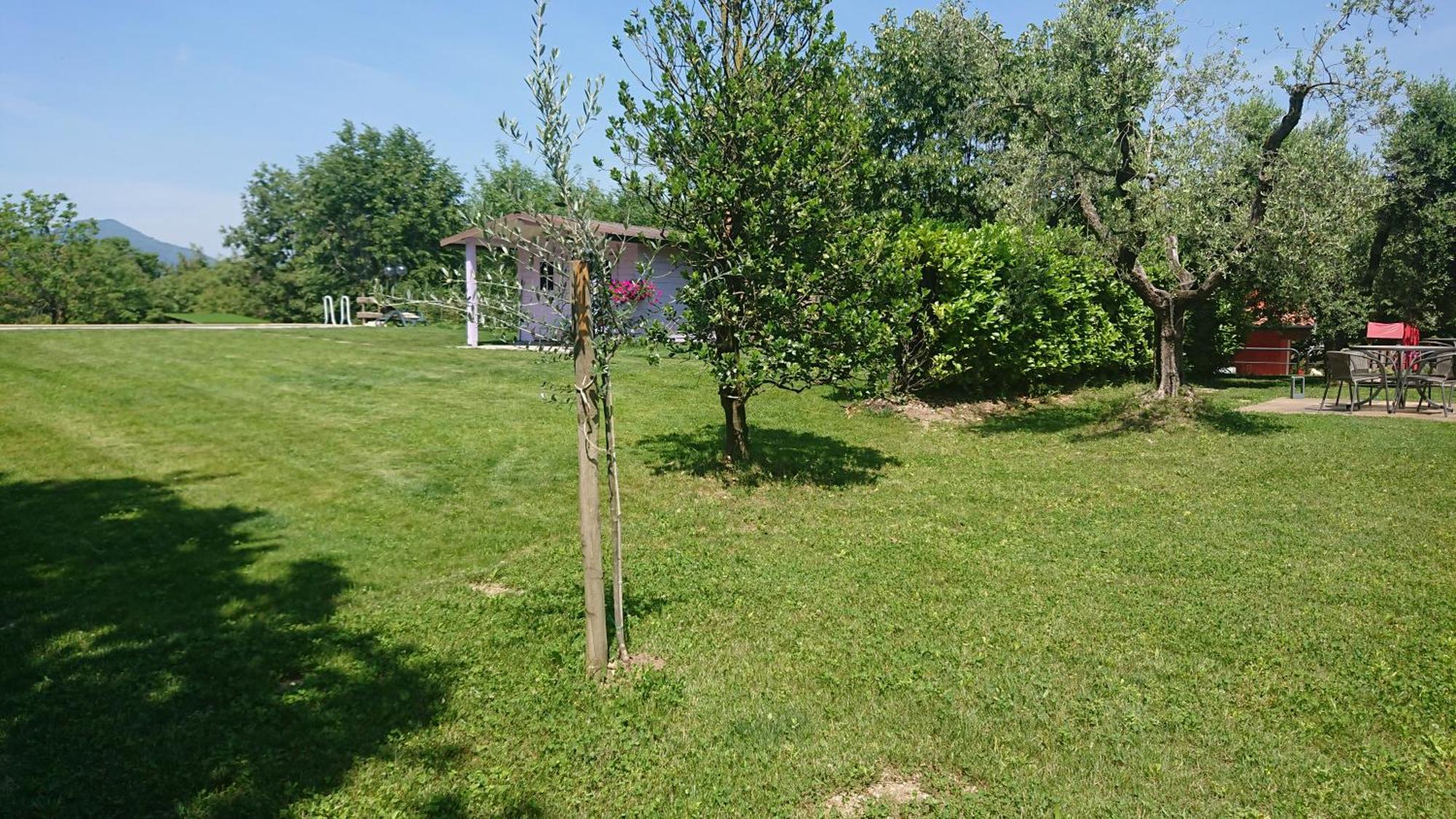 Il Carpino Bianco Bilocale Apartment Puegnago Ruang foto